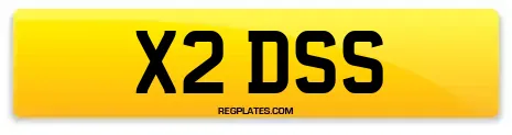 X2 DSS