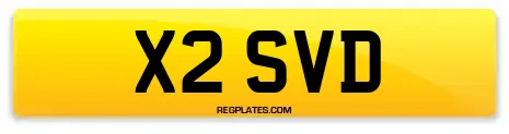 X2 SVD