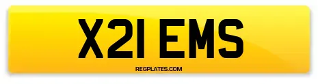 X21 EMS