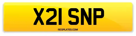 X21 SNP