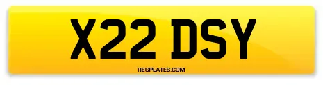 X22 DSY