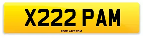 X222 PAM