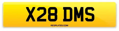 X28 DMS