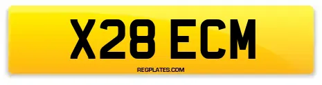 X28 ECM