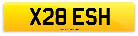 X28 ESH