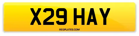 X29 HAY