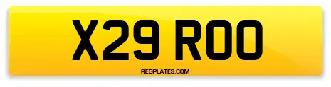 X29 ROO