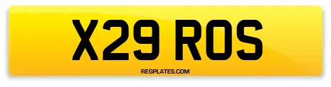 X29 ROS