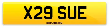 X29 SUE