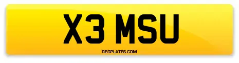 X3 MSU