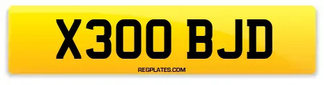 X300 BJD