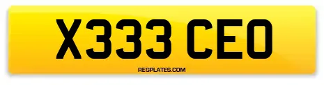X333 CEO