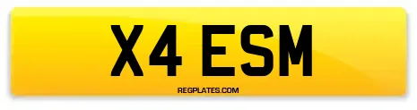 X4 ESM