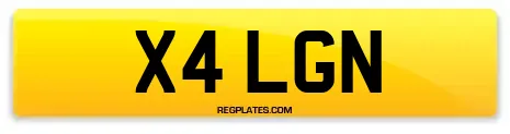 X4 LGN