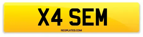 X4 SEM