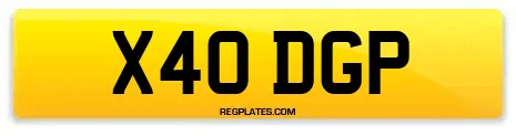 X40 DGP
