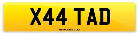 X44 TAD