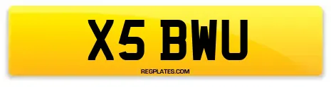 X5 BWU