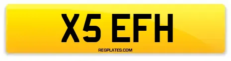 X5 EFH