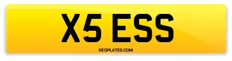 X5 ESS