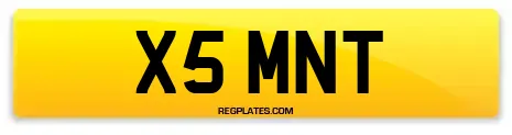 X5 MNT