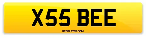 X55 BEE
