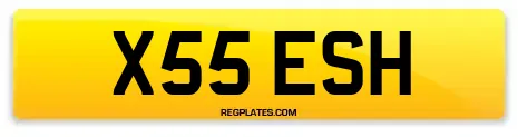 X55 ESH