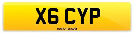X6 CYP