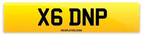 X6 DNP