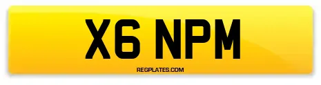 X6 NPM