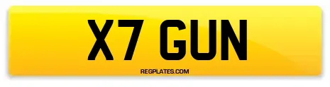 X7 GUN
