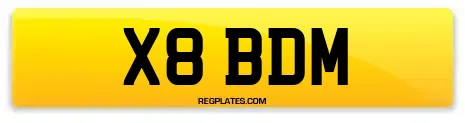 X8 BDM