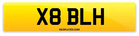 X8 BLH