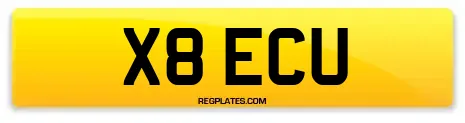 X8 ECU