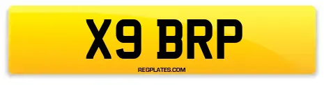 X9 BRP