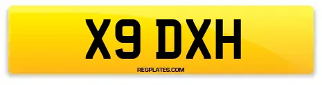 X9 DXH