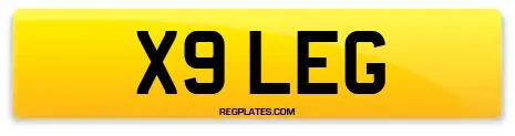 X9 LEG