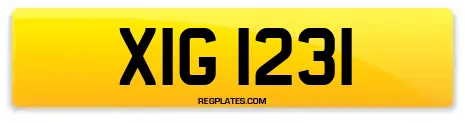 XIG 1231