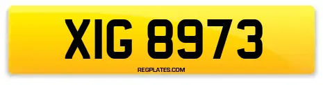 XIG 8973