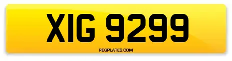 XIG 9299