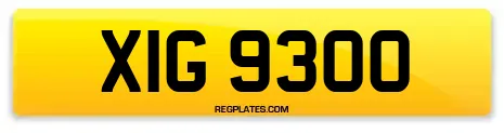 XIG 9300