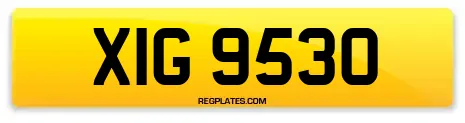 XIG 9530