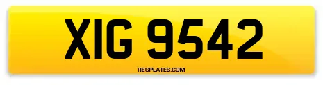 XIG 9542