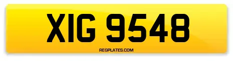 XIG 9548