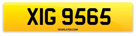 XIG 9565