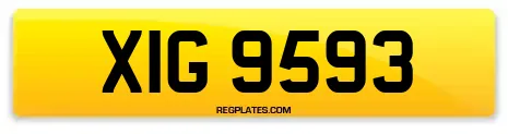 XIG 9593