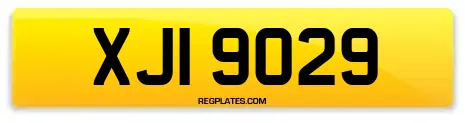 XJI 9029