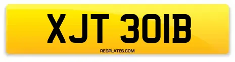 XJT 301B