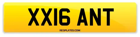 XX16 ANT