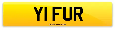 Y1 FUR